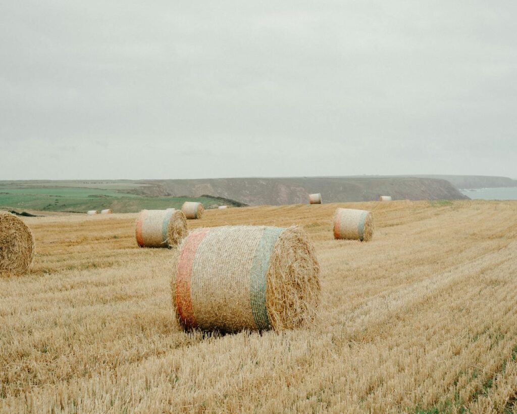 Finding a needle in a haystack