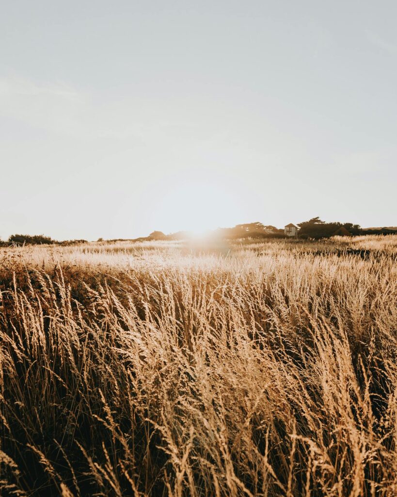 Make hay while the sun shines